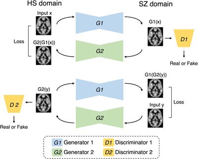 Generative artificial intelligence model for simulating structural brain changes in schizophrenia